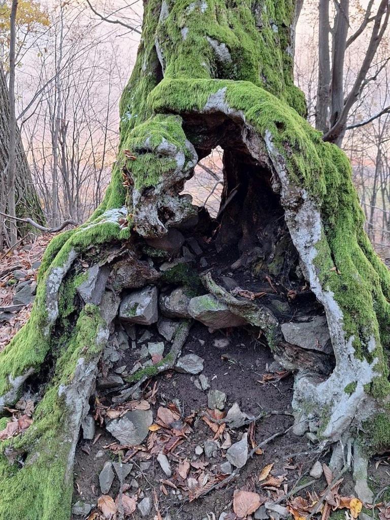 슈티아브니츠케 바네 Burg Nad Banskou Stiavnicou 게스트하우스 외부 사진