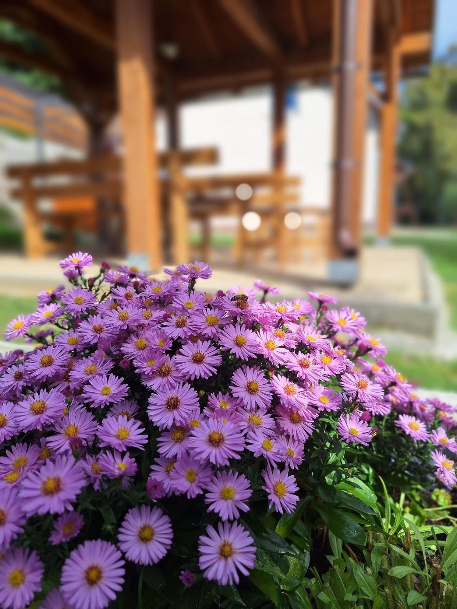 슈티아브니츠케 바네 Burg Nad Banskou Stiavnicou 게스트하우스 외부 사진